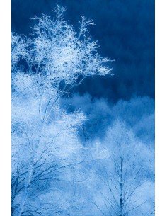 Засіб для миття підлоги... 2